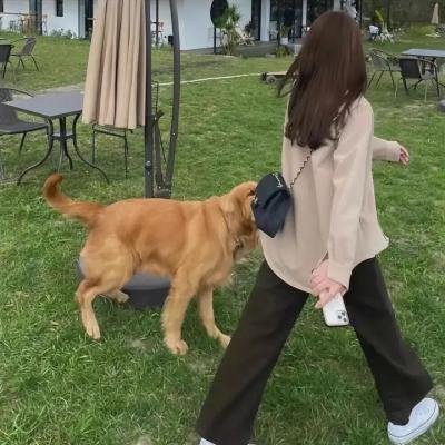 小小吸血鬼